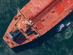 'Black swan' events keep container lines shipshape